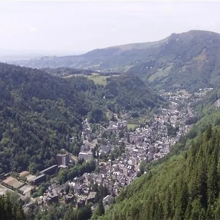 F2 A Proximite Du Centre Διαμέρισμα Le Mont-Dore